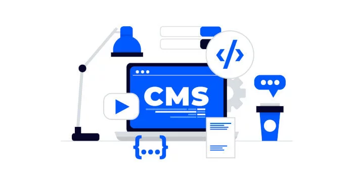Online store platforms and management systems (CMS)